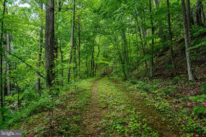 0 Helms Rd, Stanley, VA 22851 - Photo 6