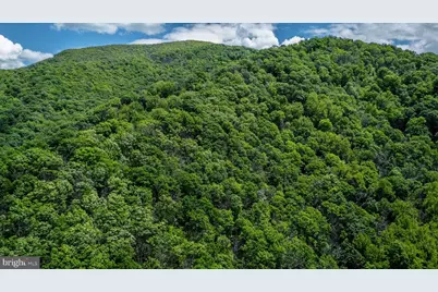 0 Helms Rd, Stanley, VA 22851 - Photo 12