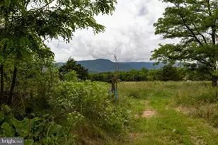 501 S Fork Rd, Luray, VA 22835 - Photo 54