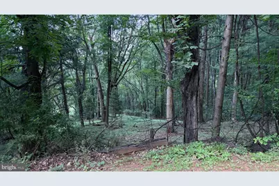 287 Blackthorne Rd, Luray, VA 22835 - Photo 18