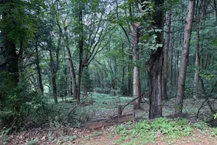 287 Blackthorne Rd, Luray, VA 22835 - Photo 18