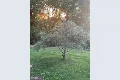 287 Blackthorne Rd, Luray, VA 22835 - Photo 32