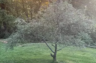 287 Blackthorne Rd, Luray, VA 22835 - Photo 32