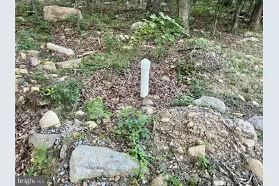 Suzanne Lane, Luray, VA 22835 - Photo 6