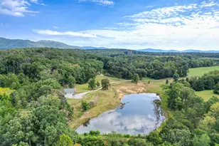 385 S McDaniel Ln, Shenandoah, VA 22849 - Photo 8