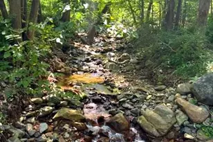 145 Weakley Ln, Stanley, VA 22851 - Photo 26