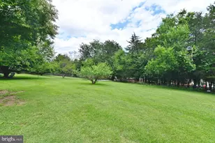 220 Airstrip Rd, Luray, VA 22835 - Photo 44