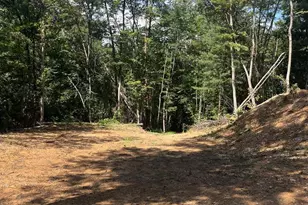 Tbd Dry Creek Rd, Luray, VA 22835 - Photo 1