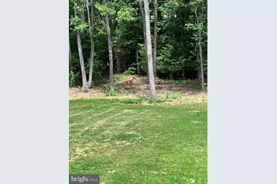 3213 Old Tanbark Road, Luray, VA 22835 - Photo 8