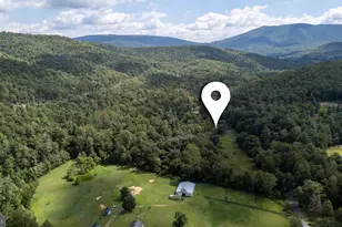 2903 Dry Run Rd, Luray, VA 22835 - Photo 50