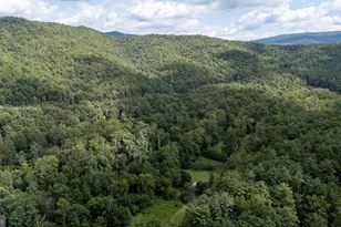 2903 Dry Run Rd, Luray, VA 22835 - Photo 64