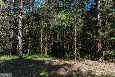 Tbd Riverview Road, Luray, VA 22835 - Photo 14