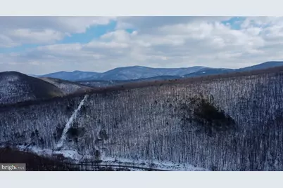 Cubbage Hollow Rd, Lot 75 - 40.55 Acres, Stanley, VA 22851 - Photo 20