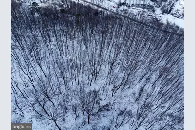 Cubbage Hollow Rd, Lot 75 - 40.55 Acres, Stanley, VA 22851 - Photo 6