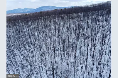 Cubbage Hollow Rd, Lot 75 - 40.55 Acres, Stanley, VA 22851 - Photo 2