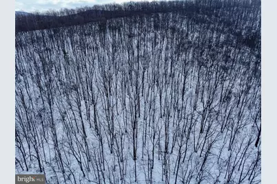 Cubbage Hollow Rd, Lot 75 - 40.55 Acres, Stanley, VA 22851 - Photo 4