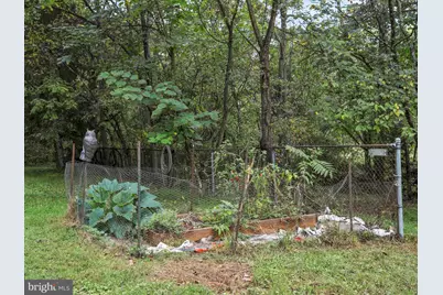 1485 Compton Hollow Road, Rileyville, VA 22650 - Photo 44