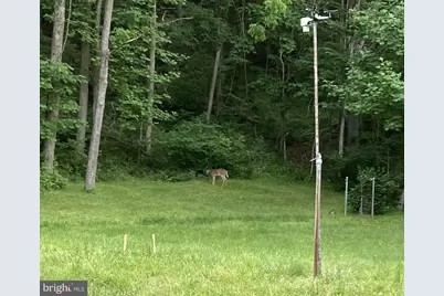 1485 Compton Hollow Road, Rileyville, VA 22650 - Photo 30