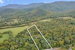 361 Printz Mill Rd, Luray, VA 22835 - Photo 74