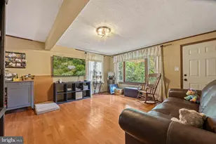 361 Printz Mill Rd, Luray, VA 22835 - Photo 22