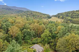 361 Printz Mill Rd, Luray, VA 22835 - Photo 72