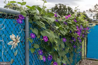 1 Rowe Drive, Luray, VA 22835 - Photo 48