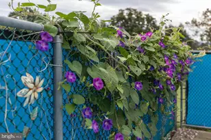 1 Rowe Dr, Luray, VA 22835 - Photo 48