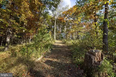 480 Mont View Lane, Luray, VA 22835 - Photo 74