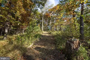 480 Mont View Ln, Luray, VA 22835 - Photo 74