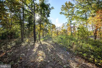 480 Mont View Lane, Luray, VA 22835 - Photo 78