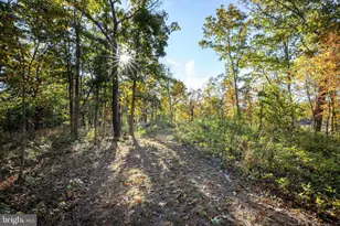 480 Mont View Ln, Luray, VA 22835 - Photo 78