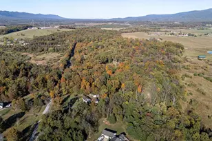 480 Mont View Ln, Luray, VA 22835 - Photo 88