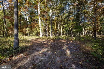 480 Mont View Lane, Luray, VA 22835 - Photo 76