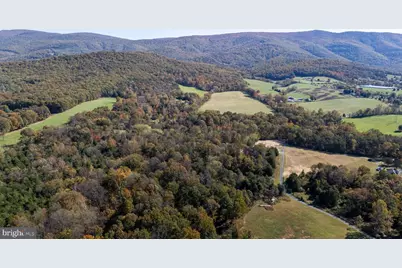 Lot 1 Young Road, Rileyville, VA 22650 - Photo 10