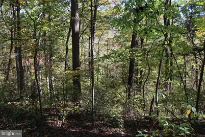 River View Place, Shenandoah, VA 22849 - Photo 8