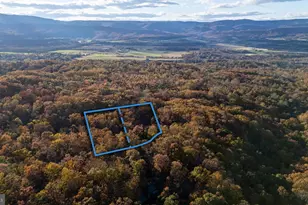 335 Wildwood Ln, Shenandoah, VA 22849 - Photo 56