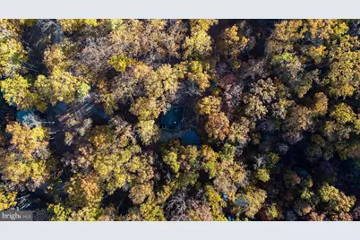 335 Wildwood Lane, Shenandoah, VA 22849 - Photo 44