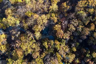 335 Wildwood Ln, Shenandoah, VA 22849 - Photo 44