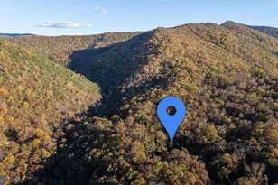 335 Wildwood Ln, Shenandoah, VA 22849 - Photo 46