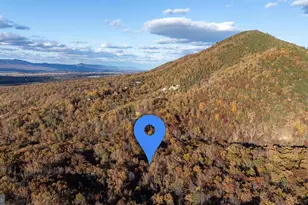 335 Wildwood Ln, Shenandoah, VA 22849 - Photo 2