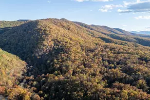 335 Wildwood Ln, Shenandoah, VA 22849 - Photo 48