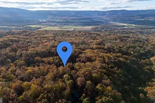 335 Wildwood Ln, Shenandoah, VA 22849 - Photo 52