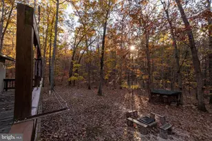 335 Wildwood Ln, Shenandoah, VA 22849 - Photo 42