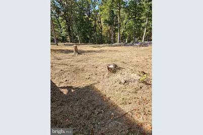 Hill Climb Rd., Stanley, VA 22851 - Photo 16