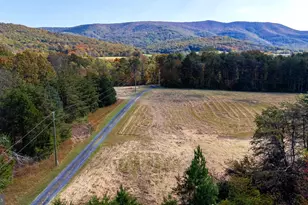 Lots 1 & 2 Young Rd, Rileyville, VA 22650 - Photo 1