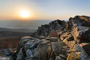 50 Cottage Dr, Luray, VA 22835 - Photo 62