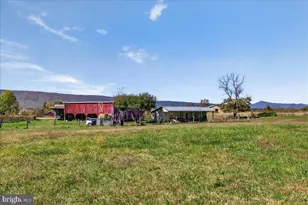 239 Mt Carmel Rd, Luray, VA 22835 - Photo 90