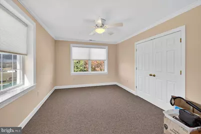 239 Mt Carmel Road, Luray, VA 22835 - Photo 44