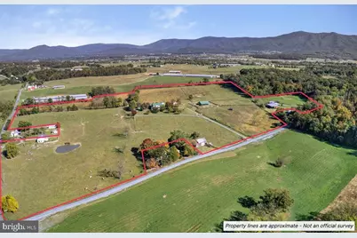 239 Mt Carmel Road, Luray, VA 22835 - Photo 6