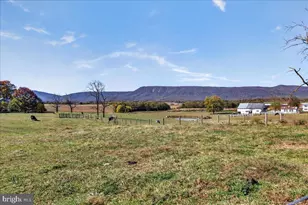 239 Mt Carmel Rd, Luray, VA 22835 - Photo 82